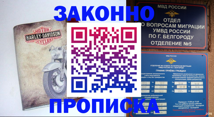 прописка для школы в Пензенской области